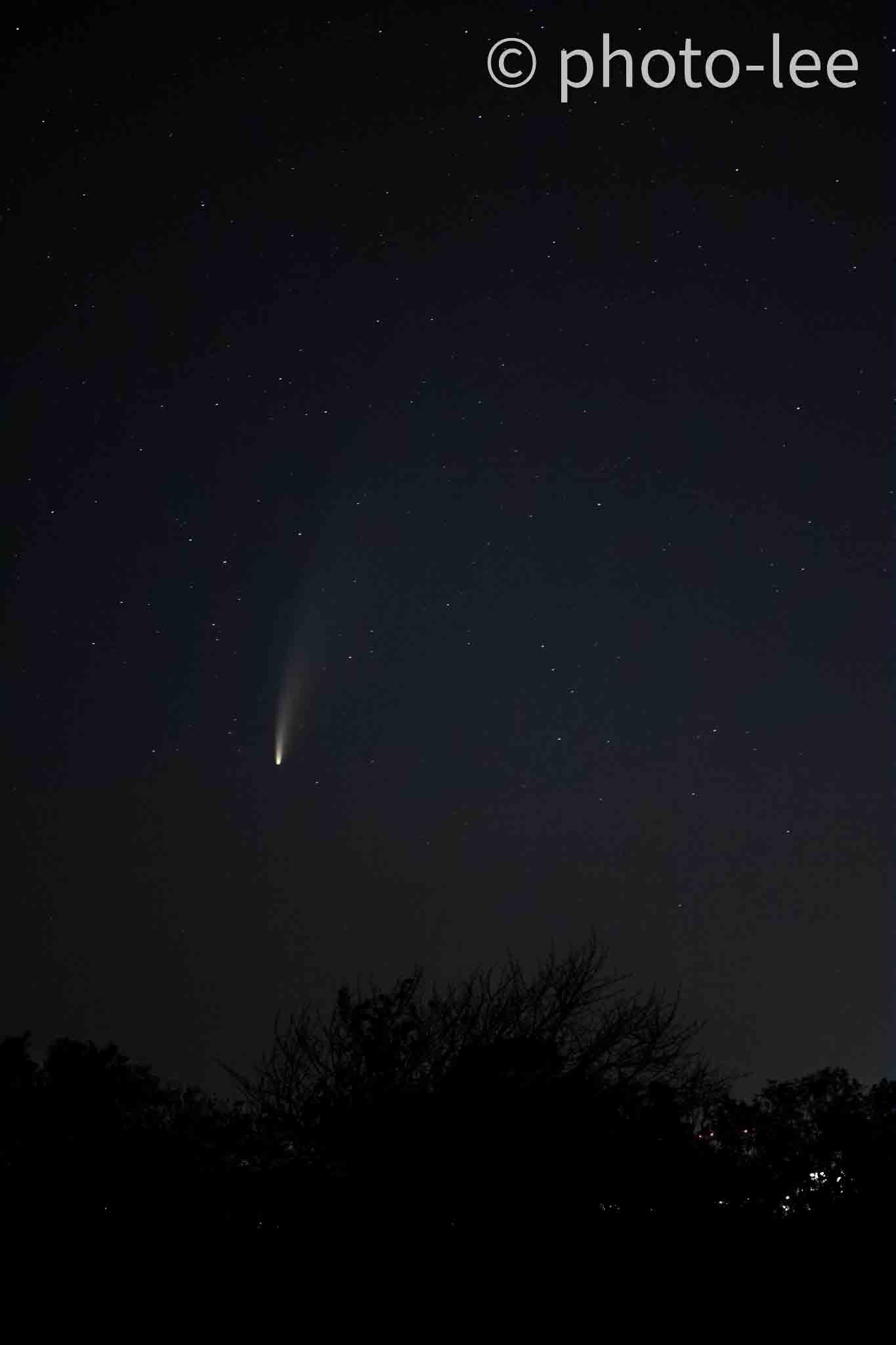 Der Komet Neowise über der Silhouette von Bäumen